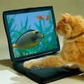 You Don't Need Thumbs to Twitter