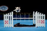 The National Dog Show: Cutest Pups