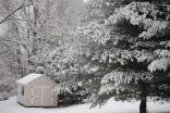 Your Photos: Morning Snow