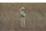 Sandy Victims Inspired by Statue