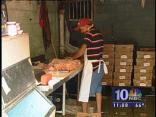 Chicken Wing Investigation Part 1