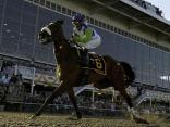 Remembering Barbaro's Legacy
