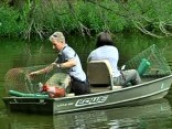 On the Hunt for Gator