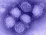 Debunking H1N1 Vaccine Myths