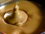 The Salmonella Probe