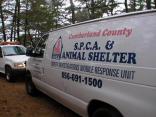Trash Bagged Dogs Dumped in Woods