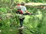 Mosquitoes Everywhere at The Shore