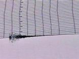 Earthquake Rattles Nerves in South Jersey and Delaware