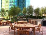 Open House: Rooftop Gardens