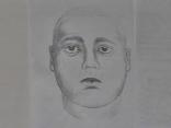 Search for Police Impersonator