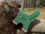 Fierce Storm Tears Up Emmaus Park