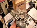Cat Bound by Duct Tape Found in N. Philly