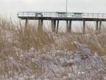 Snowy Jersey Shore