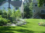 Winter Landscaping Tips