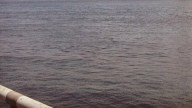 2 Men Rescued After Boat Runs Aground 