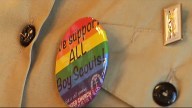 Scouts' Gay Ban Change Falls Short: Gay Ex-Leader
