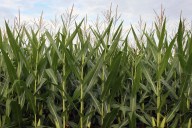 Plan to Preserve Land in NJ