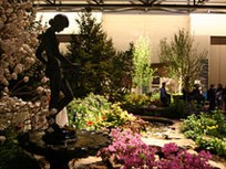 Your Passport to the World of Flowers