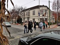 Help Make Chestnut Hill a Favorite