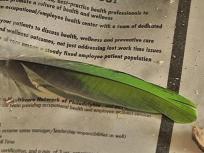 A Plea for Tex the Parrot