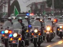 A Turkey Run Close to the Men in Blue