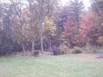 Snow! This Early?