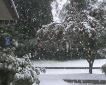 Say it Ain't Snow