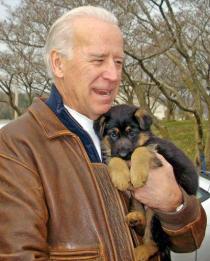 Biden Gets a Puppy, Kennel Gets Citations