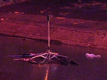 White Van Hit and Killed Woman