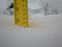 Snow Totals