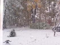 "Hurricane" Previews Winter Forecast -- Cold Or Warm?