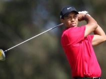 Tiger Scandal Could Be $100M Bogey