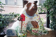 Boyertown Bears Returned to Their Dens