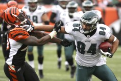 Birds Offer Contracts to Baskett, Daniels, Nick Cole