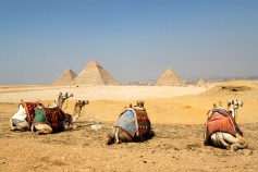 Pa. Native Strives to Fly From World's Wonders