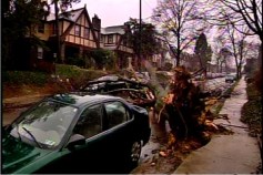 Heavy Rain and Strong Winds Hit Area
