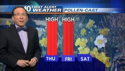 Pollen-Cast: 4pm Wednesday