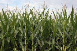 Plan to Preserve Land in NJ