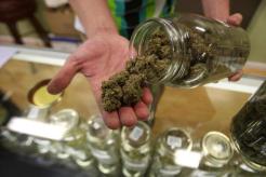 Marijuana Farm Opening in South Jersey