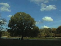 City Votes on Clean Air