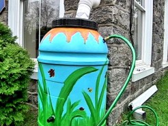 Recycled Rain Barrels for Sale