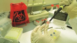Testing Company Thrives as Drug Firms Outsource