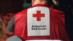 Red Cross: How You Should Prepare 