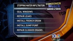 Mold Tips
