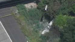 Pilot Killed After Plane Crashes Above Highway