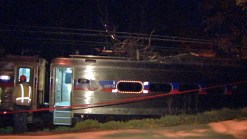Tree Stops SEPTA Train