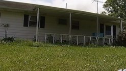 Bear Sighting in New Britain Township