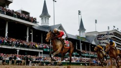 Orb to Have Inside View of Preakness