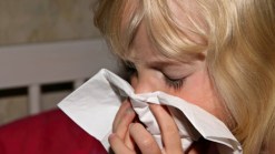Tips for Allergy Season