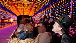 Holiday Entertainment Guide